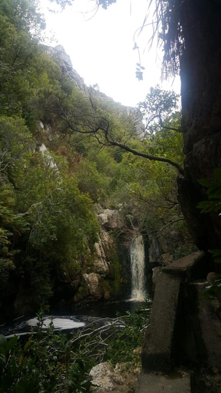 דירות Klipwerf Bettyʼs Bay מראה חיצוני תמונה